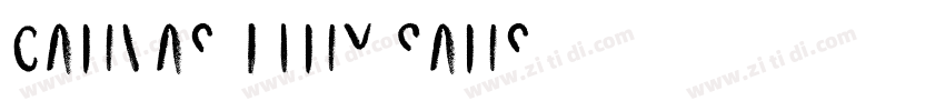 Canvas Tiny Sans字体转换 Canvas Tiny Sans字体转换